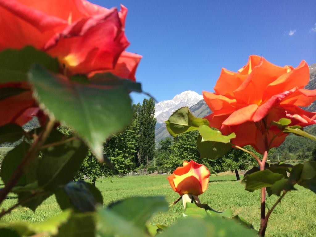 Villamour Boutique Hotel & Spa La Salle Kültér fotó
