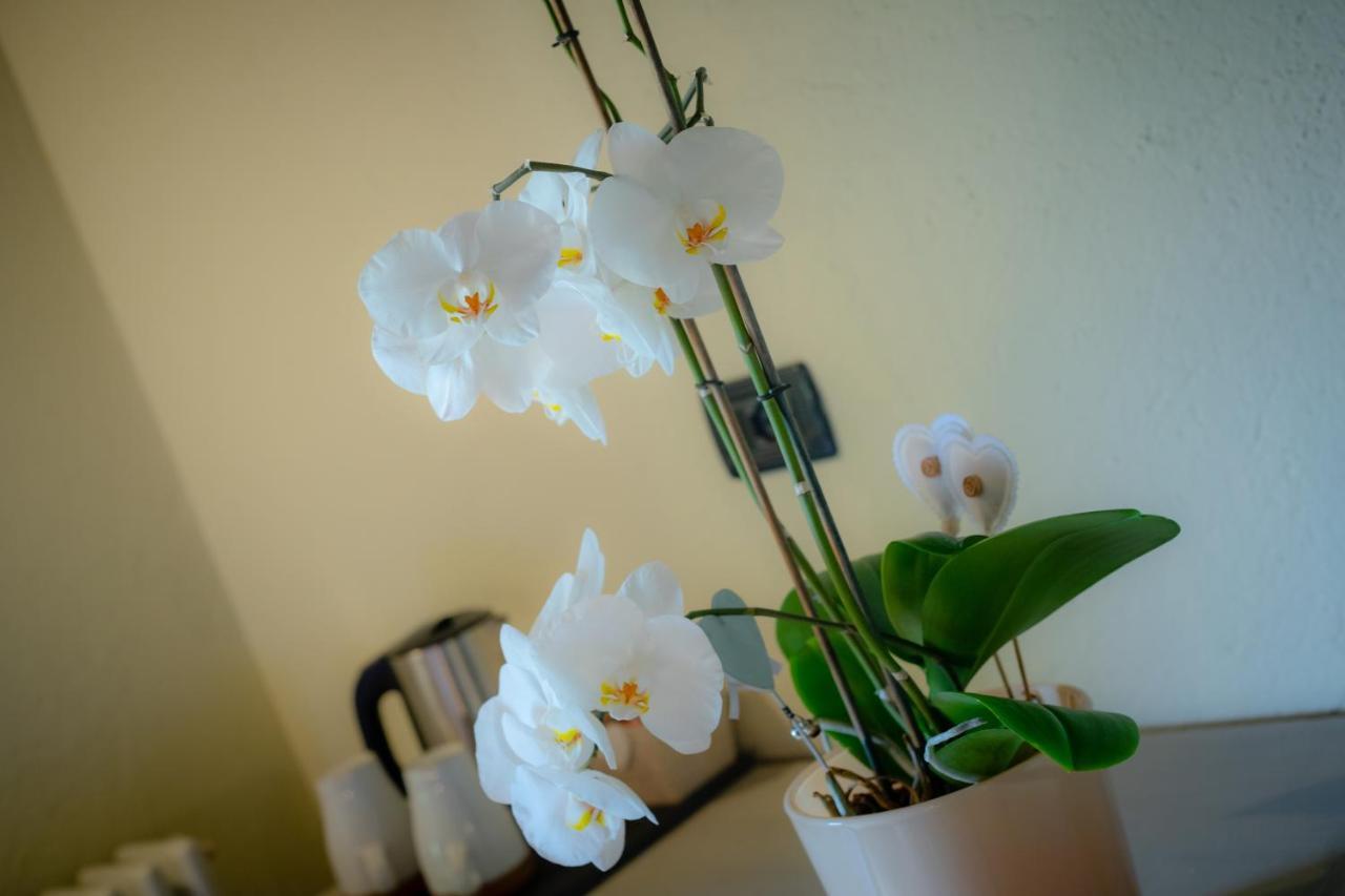 Villamour Boutique Hotel & Spa La Salle Kültér fotó